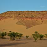 The Algerian desert... not the most beautiful I've seen, but still cool!
