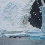 Kayaking Antarctica makes you feel very, very small.
