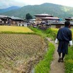 Following my traditionally dressed guide to the Chimi Lhakhang, the temple of the "Divine Madman".