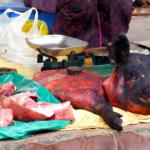Pigs for sale, too!