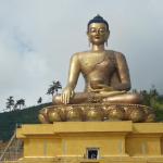 139 foot tall Buddha Dordenma.