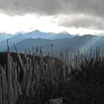 View from the top of Chelela Pass.
