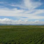 An endless sky in the Bolivian countryside.