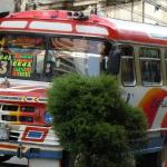 Local transport.
