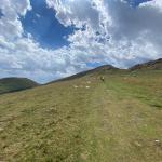 Crossing the Pyrenees. Some parts of the trail were obvious, other areas there was simply a sign with an arrow showing the general direction.  