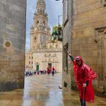Finally arrived on day 30 at the Cathedral in Santiago de Compostela on a soggy morning! 