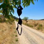 What's up with this? Was it just too hot? LOL Came across it near Los Arcos.