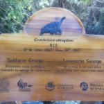 Sadly, Lonesome George passed away this last June.