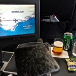 Only on Air Greenland do you get a seal skin covered menu.