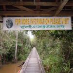 Pathway to the Pondok Tangui feeding camp.