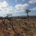 No man's land between Djibouti and Somalia.