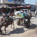 water cart