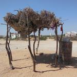 Stopping for camel milk (stored in the barrel).