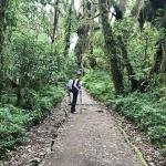 Day one in the rainforest. 
