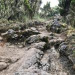 Yes, that's part of the trail.