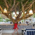 Dar Zarrouk Restaurant, Sidi Bou Saïd. Celebrating my 54th birthday.