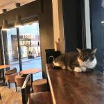 Yes, this is perfectly acceptable in Tunisia!