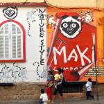 Lemur pictures are everywhere.  The capital, Antananarivo or "Tana" for short.