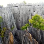 The jagged limestone pinnacles of Parc National des Tsingy de Bemaraha.  The serrated, surreal-looking peaks and boulders are a geological work of art, the result of millennia of water and wind erosion.