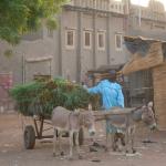 Typical street in Djenne.