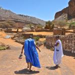 My driver and his brother leading me to the beautiful oasis of Terjit.