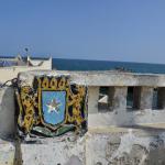 The symbol of Somalia