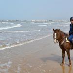 Essaouira 