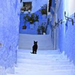 Chefchaouen, the blue city.