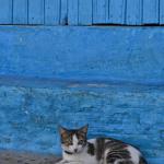 Cgefchaouen