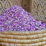 Marrakesh