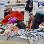 Essaouira fish market.