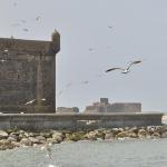 Essaouira 