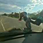 Do you know how to transport  freshly caught fish from Lake Malawi? Hang them from the windshield wiper, of course! No stink!