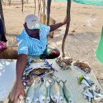 Fresh catch, Mozambique Island