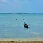 View from the excellent Rickshaws Restaurant, Mozambique Island. Best fish tacos ever!
