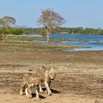 Liwonde National Park, Malawi
