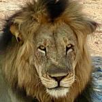 Liwonde National Park, Malawi