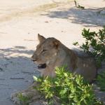 Liwonde National Park, Malawi