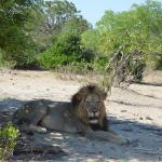 Liwonde National Park, Malawi