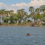 Liwonde National Park, Malawi