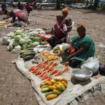Selling goods at the market.