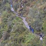 And the trail continues!
