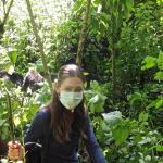 With gorillas having 98.6% of the same nuclear DNA as a human, you must wear a face mask when in their presence in the DRC.