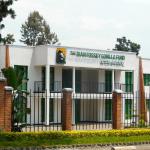 The Dian Fossey Gorilla Fund