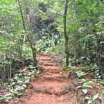 Path to my hut for the night.