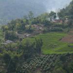 View surrounding the plantation.