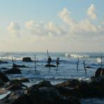 The stilt fisherman of Welligama.