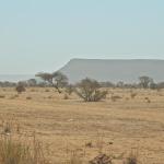 Jebel Barkal in Karima. Sacred ground for the Egyptians at the time of the 18th-dynasty pharohs. Jabel Barkal was believed to the home to the God Amun.