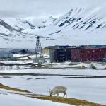 Longyearbyen