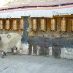 Prayer wheels.